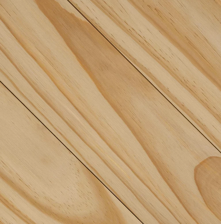 Accoya